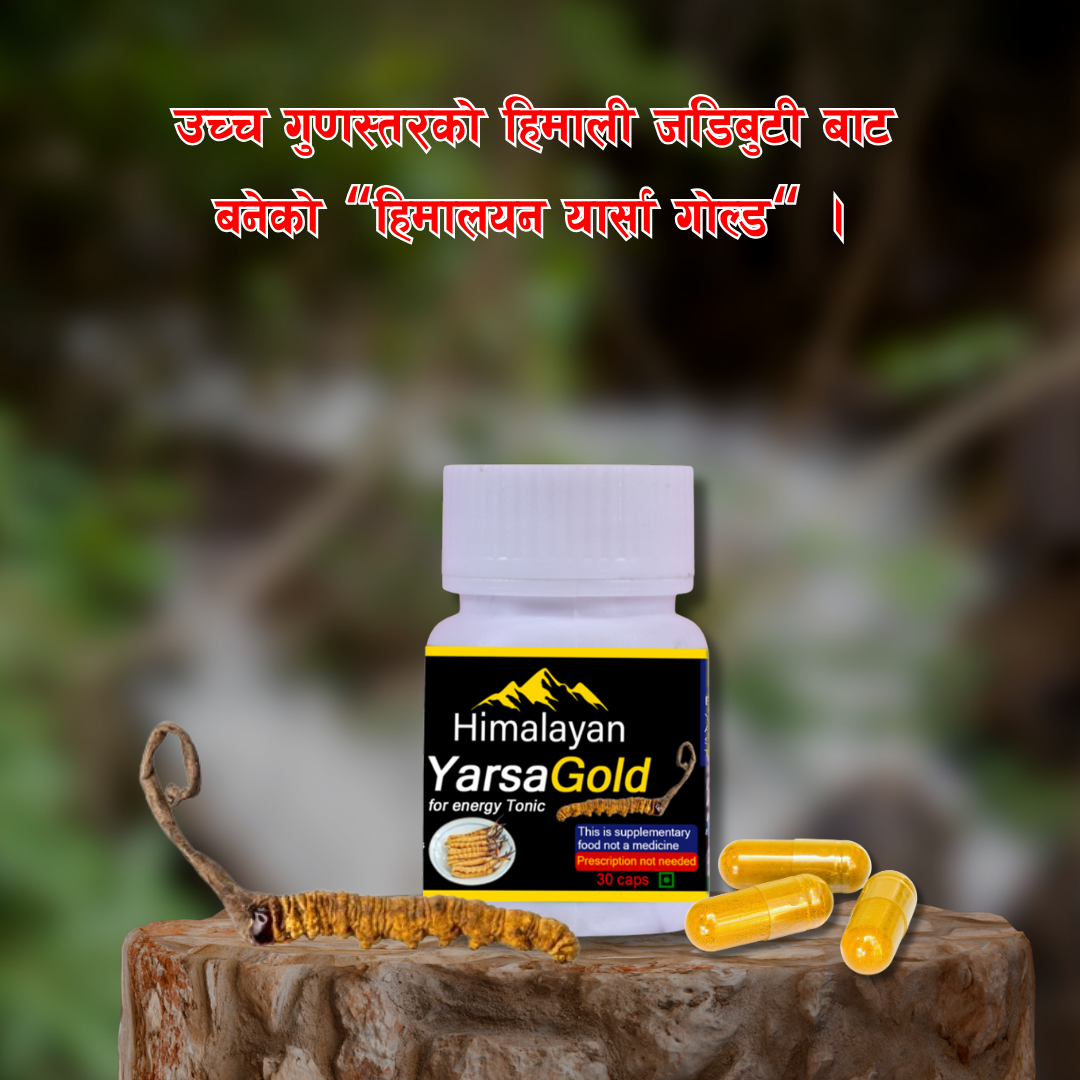 Himalayan YarsaGold For Energy Tonic(30 Caps) (रु. 2500/-)